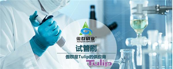 试管刷
