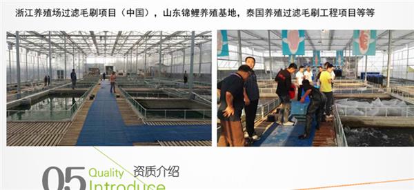 鱼池过滤毛刷