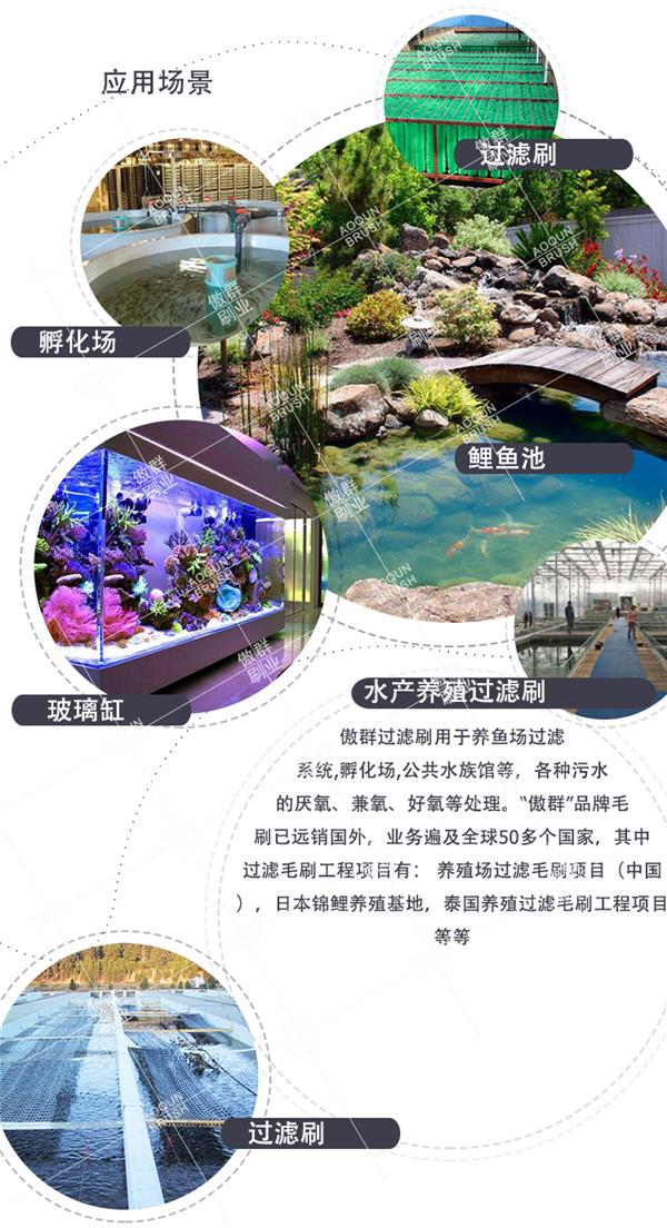 锦鲤鱼池过滤系统毛刷