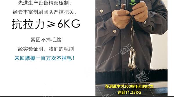 门底密封毛刷