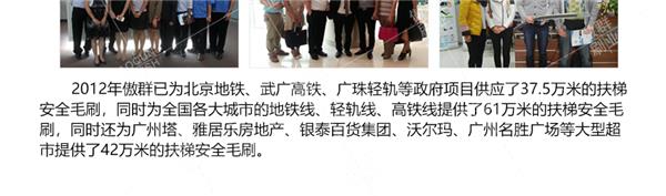 扶梯安全毛刷