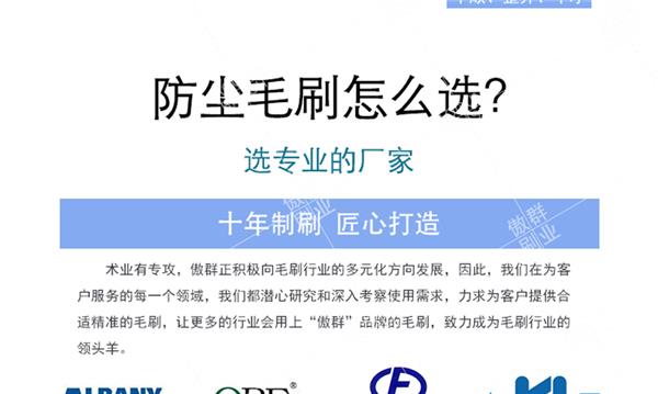防尘毛刷