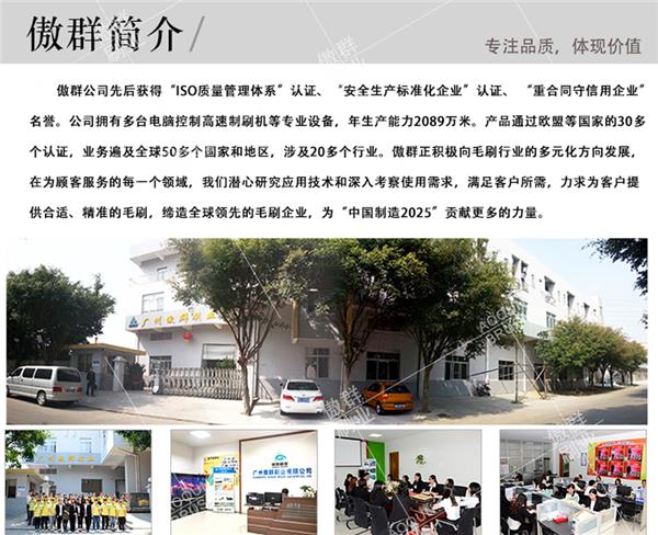 防尘毛刷