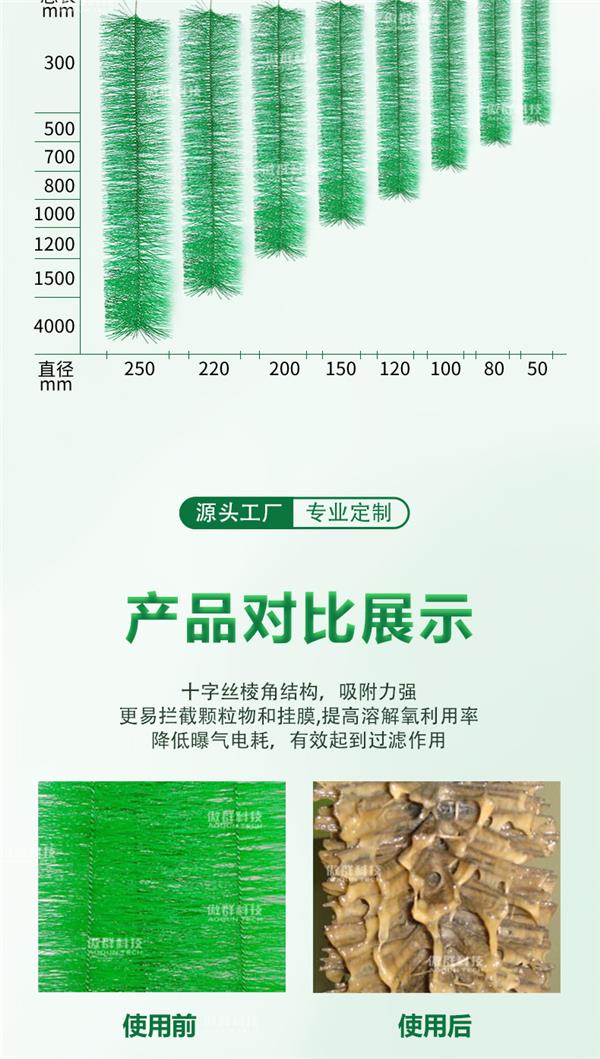 304/306不锈钢过滤毛刷07