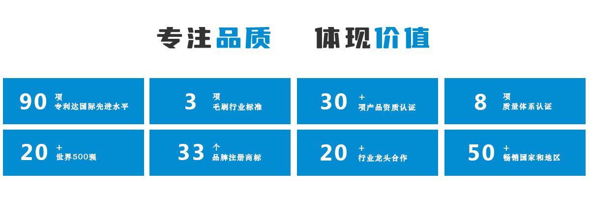 毛刷条厂家-加工定制生产公司傲群